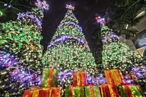 News | Miami Christmas Lights